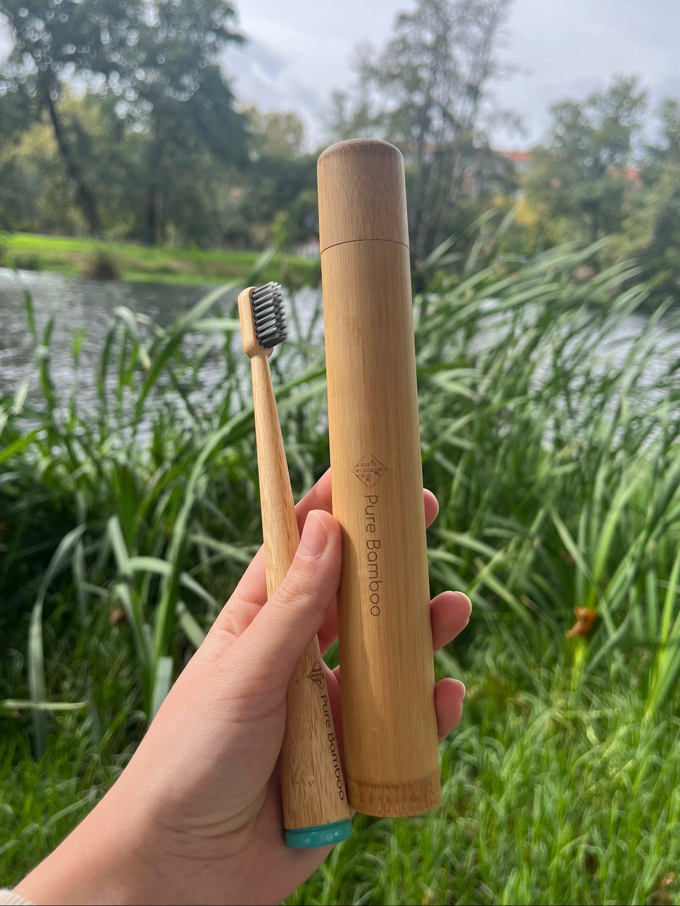 Mitos y verdades sobre el bambú: ¿Es realmente sostenible?